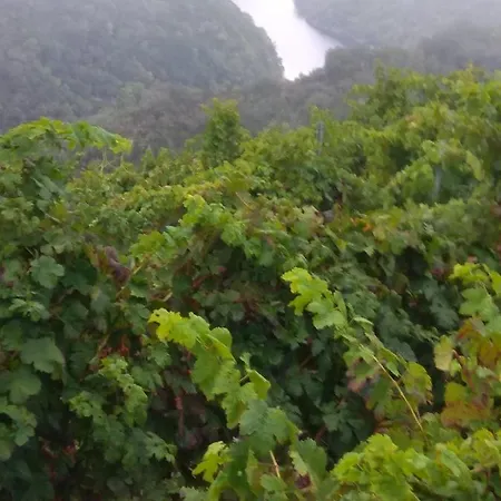 Casa Diego Monforte De Lemos