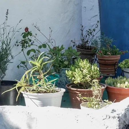 Casa Diego *