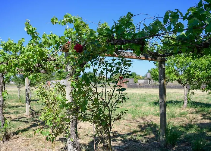 Casa Diego Βίλα *