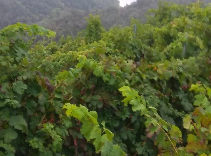 Casa Diego Monforte De Lemos